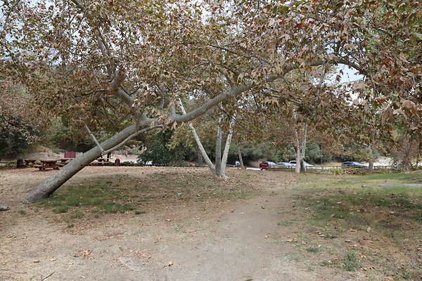FC Park-Dale-Geo6D-Nov2017-284