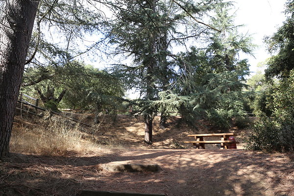 FC Park-Dale-Geo6D-Nov2017-055