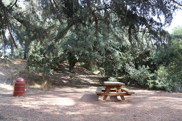 1-FC Park-Dale-Geo6D-Nov2017-050