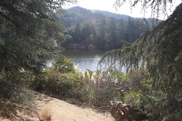 FC Park-Dale-Geo6D-Nov2017-060
