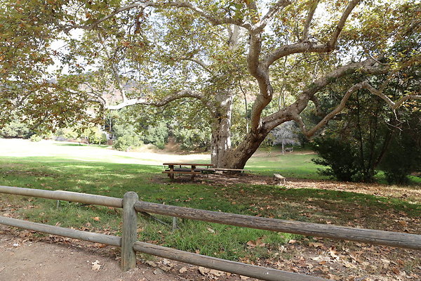 2-FC Park-Dale-Geo6D-Nov2017-198