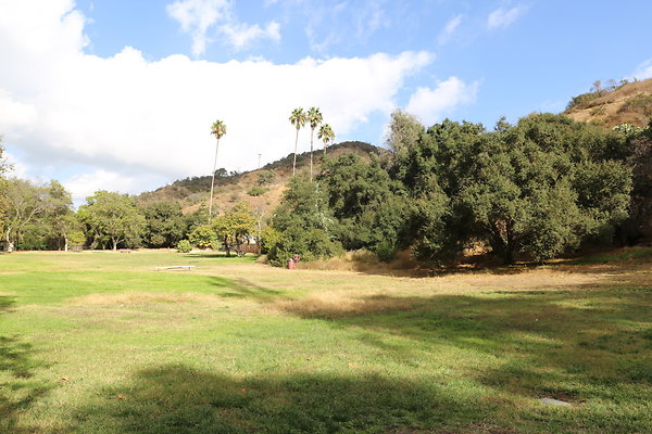 2-FC Park-Dale-Geo6D-Nov2017-211