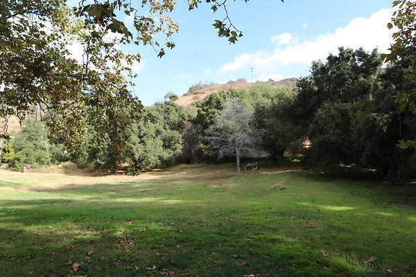 2-FC Park-Dale-Geo6D-Nov2017-204