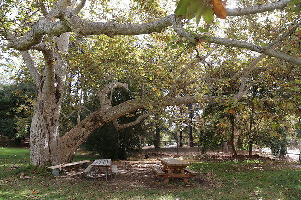 2-FC Park-Dale-Geo6D-Nov2017-213