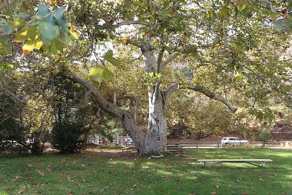 2-FC Park-Dale-Geo6D-Nov2017-207
