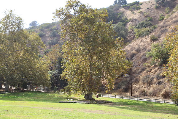 3-FC Park-Dale-Geo6D-Nov2017-226