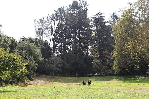3-FC Park-Dale-Geo6D-Nov2017-229