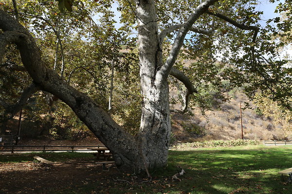 FC Park-Dale-Geo6D-Nov2017-205