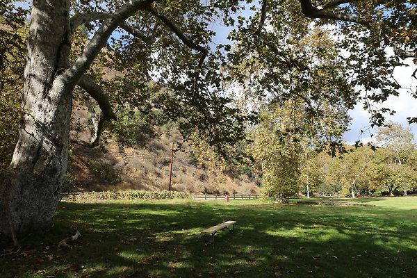 FC Park-Dale-Geo6D-Nov2017-206