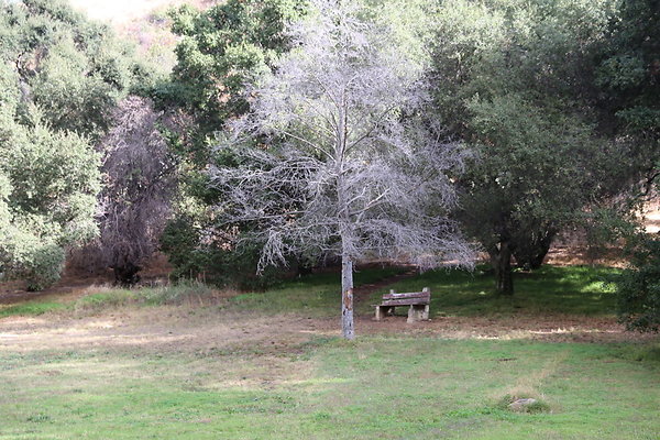 2-FC Park-Dale-Geo6D-Nov2017-203