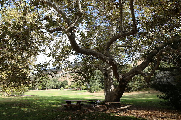 2-FC Park-Dale-Geo6D-Nov2017-199