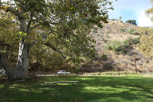 2-FC Park-Dale-Geo6D-Nov2017-208