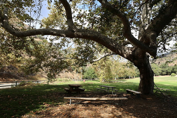 2-FC Park-Dale-Geo6D-Nov2017-202