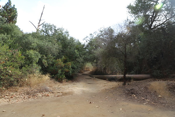 FC Park-Dale-Geo6D-Nov2017-247