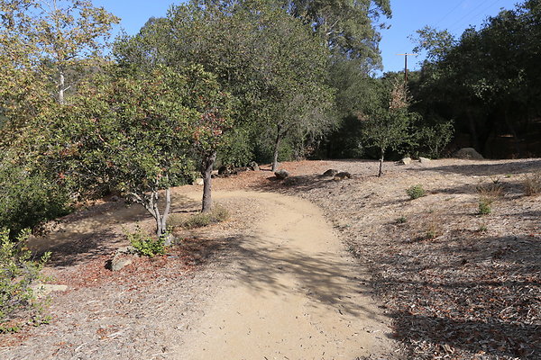 FC Park-Dale-Geo6D-Nov2017-239
