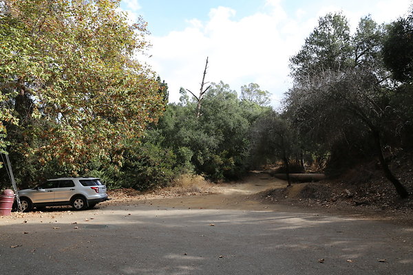 FC Park-Dale-Geo6D-Nov2017-256