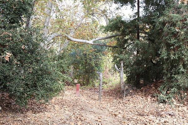 FC Park-Dale-Geo6D-Nov2017-251
