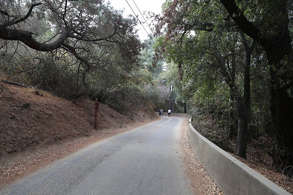 FC Park-Dale-Geo6D-Nov2017-241