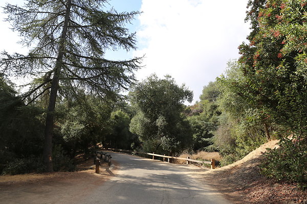 FC Park-Dale-Geo6D-Nov2017-042