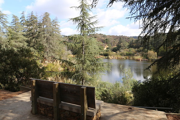 2-FC Park-Dale-Geo6D-Nov2017-101