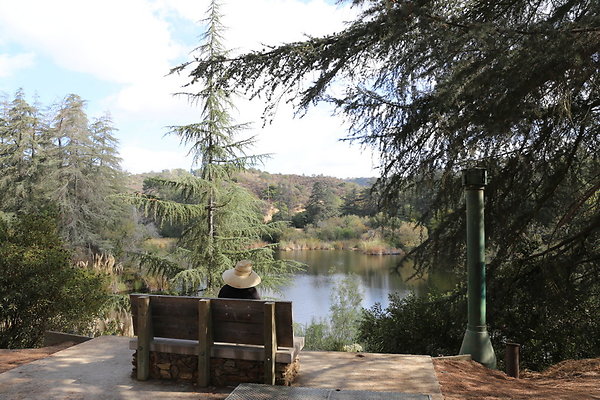2-FC Park-Dale-Geo6D-Nov2017-069