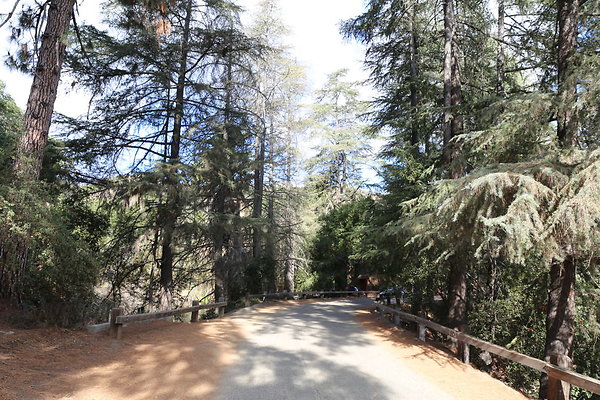 2-FC Park-Dale-Geo6D-Nov2017-071