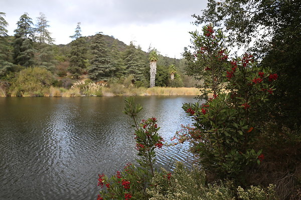 FC Park-Dale-Geo6D-Nov2017-274