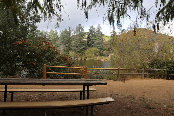 FC Park-Dale-Geo6D-Nov2017-262