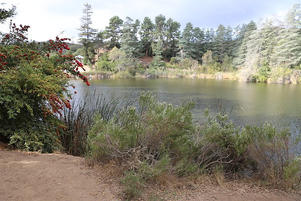 FC Park-Dale-Geo6D-Nov2017-269