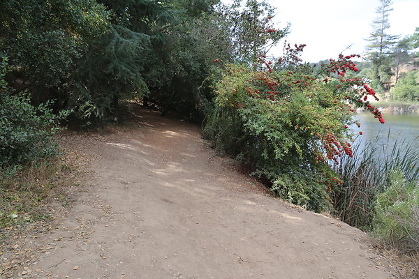 FC Park-Dale-Geo6D-Nov2017-268