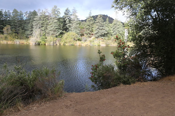 FC Park-Dale-Geo6D-Nov2017-270