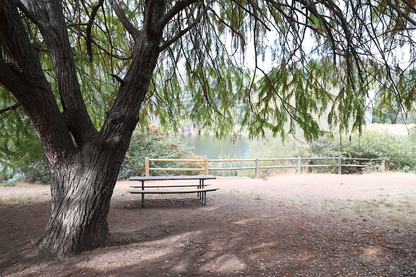 FC Park-Dale-Geo6D-Nov2017-261