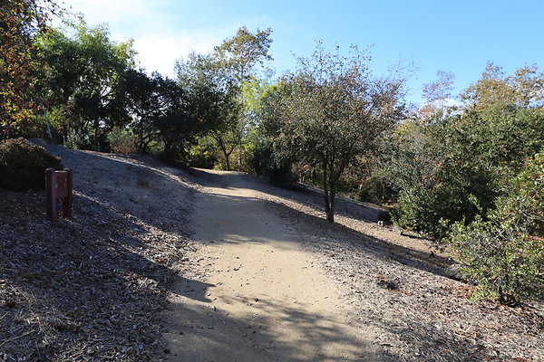 FC Park-Dale-Geo6D-Nov2017-115