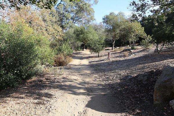 FC Park-Dale-Geo6D-Nov2017-112