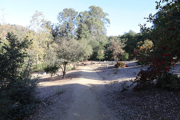 FC Park-Dale-Geo6D-Nov2017-116