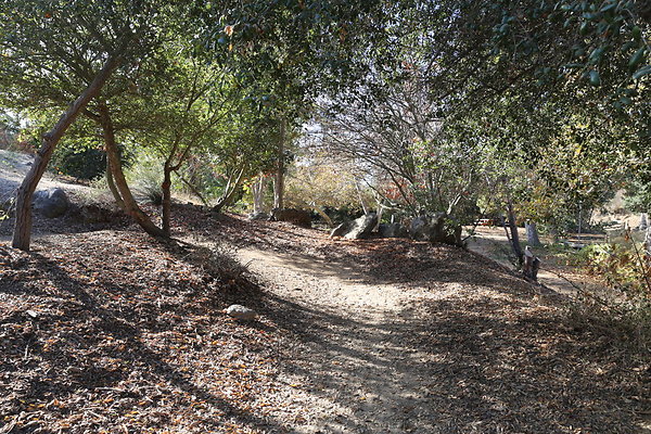 FC Park-Dale-Geo6D-Nov2017-110