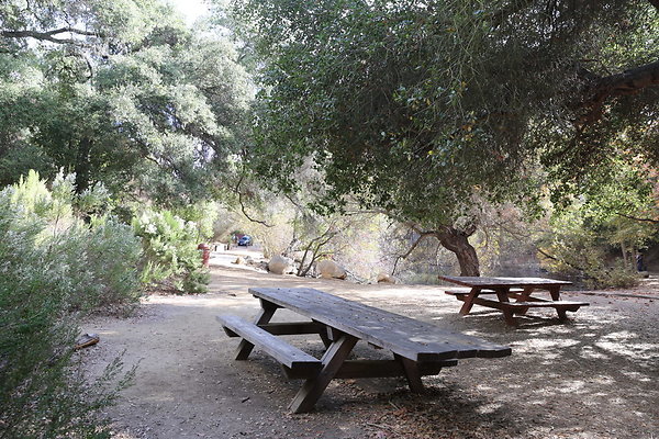 FC Park-Dale-Geo6D-Nov2017-085