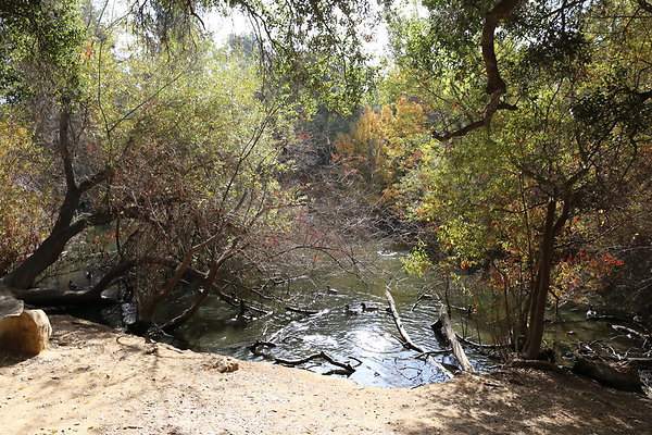 2-FC Park-Dale-Geo6D-Nov2017-094