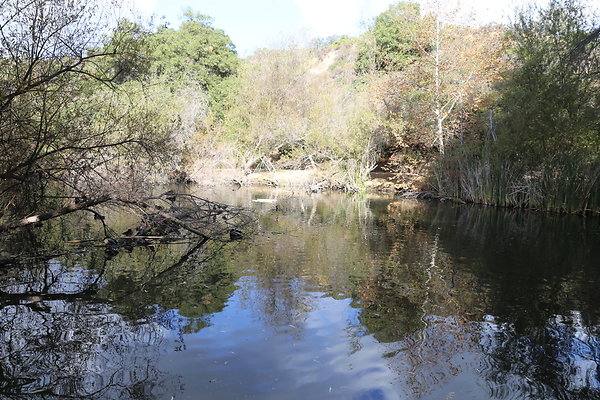 2-FC Park-Dale-Geo6D-Nov2017-075