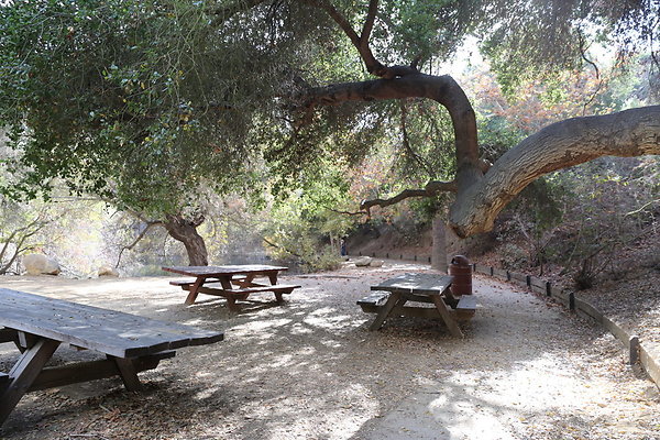 FC Park-Dale-Geo6D-Nov2017-086
