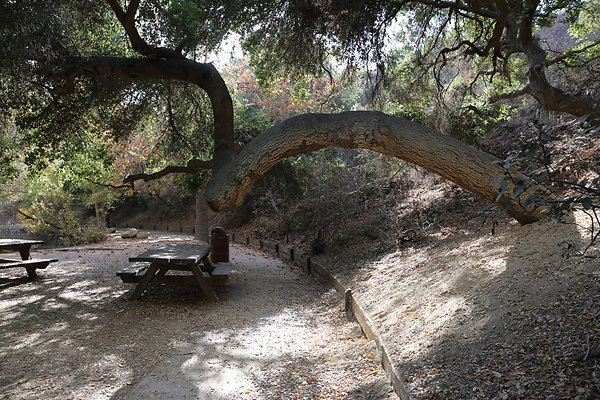 FC Park-Dale-Geo6D-Nov2017-087