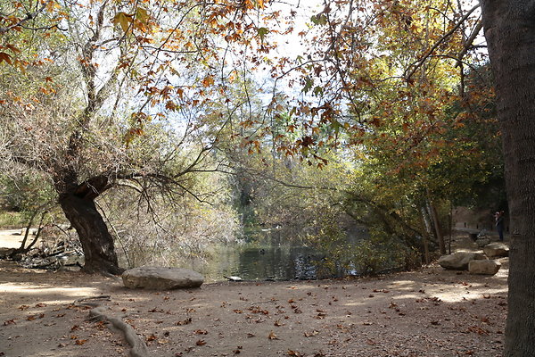 FC Park-Dale-Geo6D-Nov2017-081