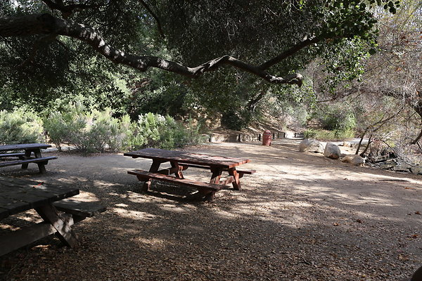 FC Park-Dale-Geo6D-Nov2017-084