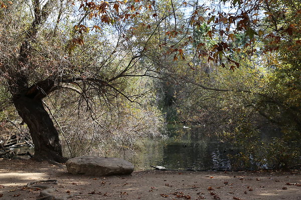 FC Park-Dale-Geo6D-Nov2017-082