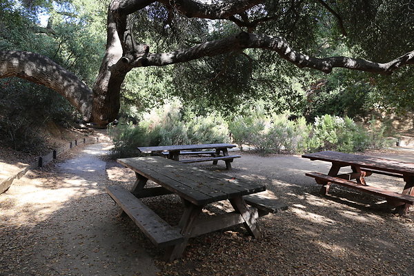 FC Park-Dale-Geo6D-Nov2017-083