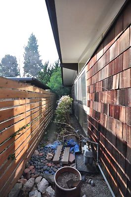 4618 alley4