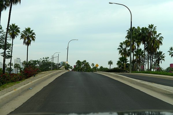 DSC 4335