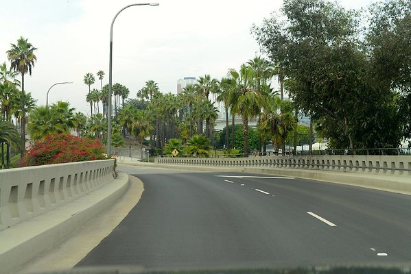 DSC 4338