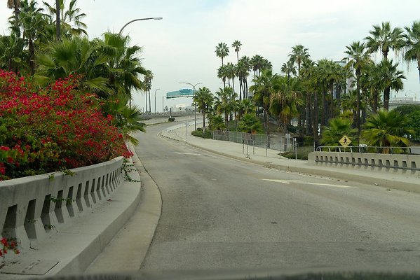 DSC 4339