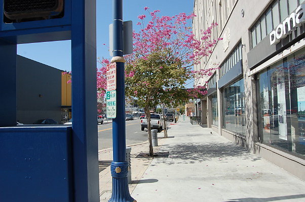 DSC 0028
